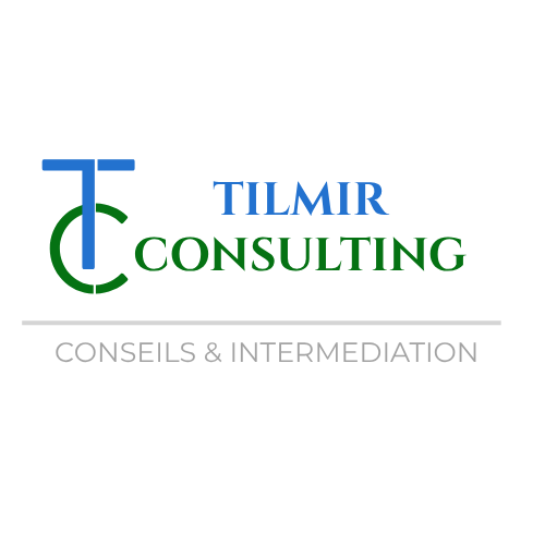 Logo_tilmir_conseils_1